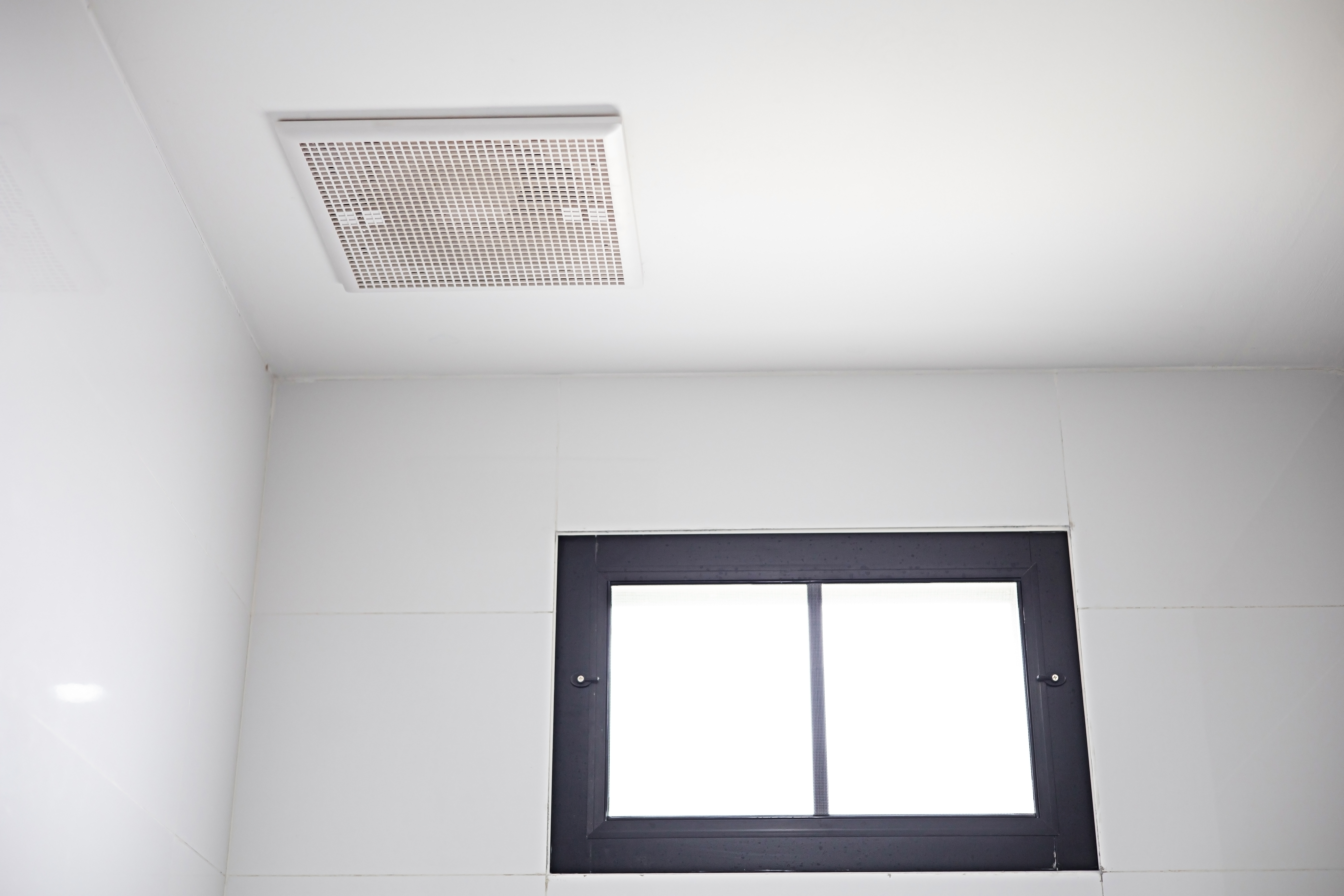Exhaust Fan