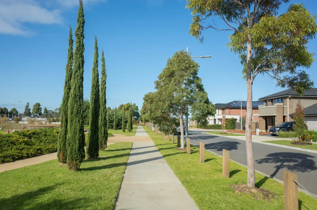 Tree-lined suburban street in Melbourne with neatly maintained lawns, modern houses, and a clear blue sky, showcasing a quiet, family-friendly neighborhood.