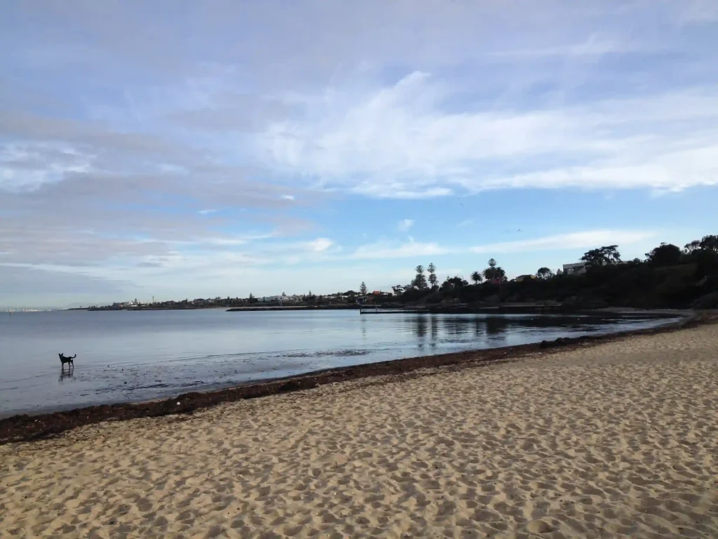 A serene beach with golden sand, calm waters, a dog wading near the shoreline, and a backdrop of trees and houses under a partly cloudy sky.
