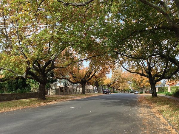 Balwyn