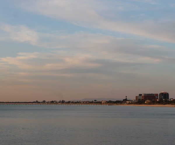 Frankston Pier and Central Business District viewed from the base of Olivers Hill